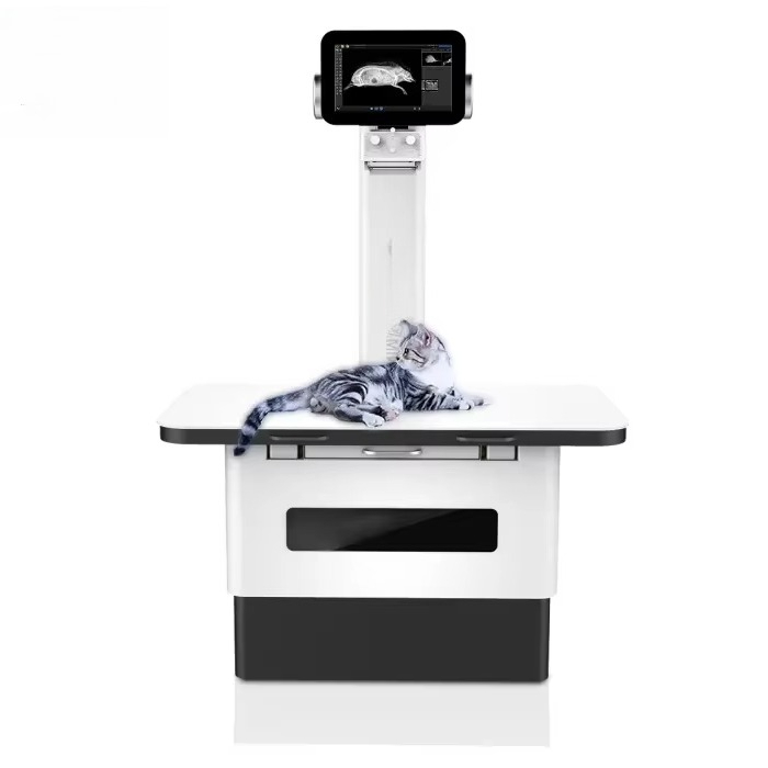Professional digital pet X-ray - Photography X Ray review and price