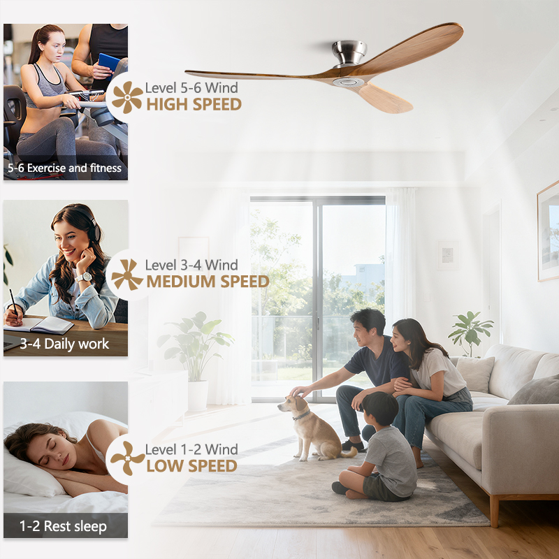 42/52/60 Inch Low Floor Ceilin - Photography Coffee review and price