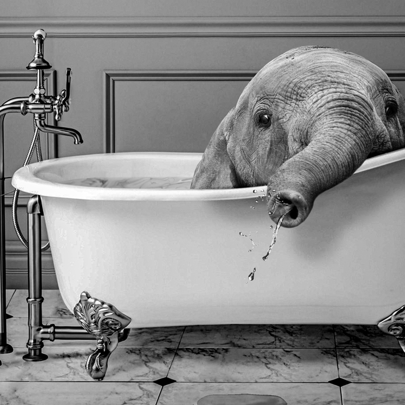 Black and White Animals Bathro - Photography Duck review and price