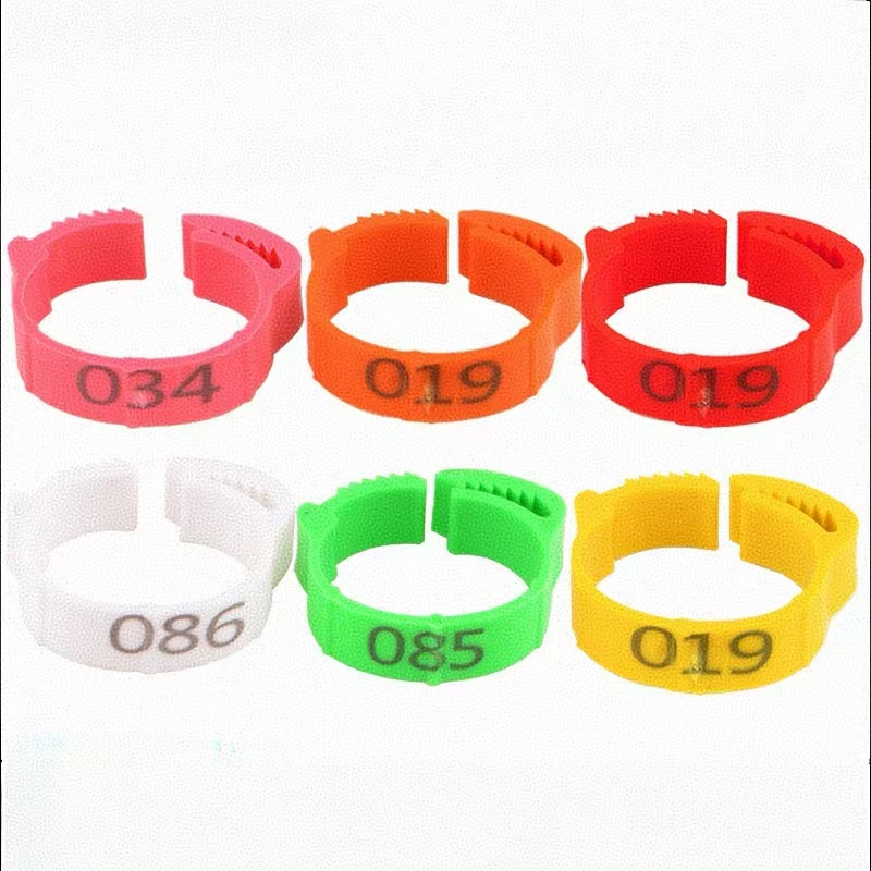 100pcs Chicken Foot Ring Label - Photography Duck review and price