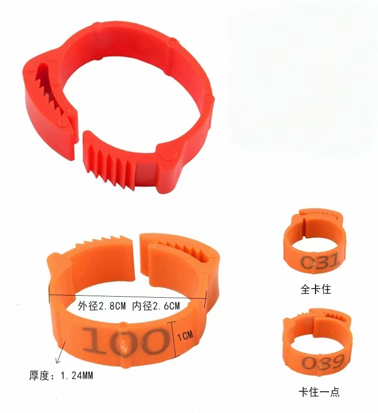 100pcs Chicken Foot Ring Label - Photography Duck review and price
