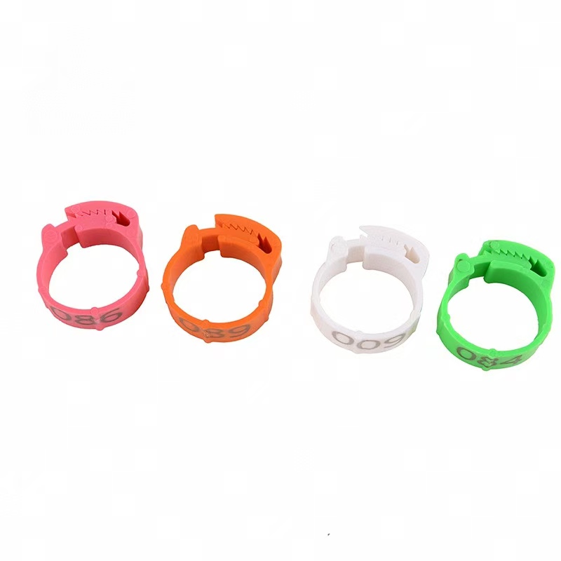 100pcs Chicken Foot Ring Label - Photography Duck review and price