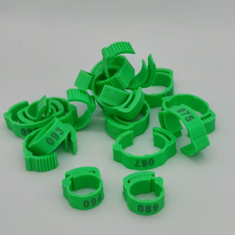 100pcs Chicken Foot Ring Label - Photography Duck review and price